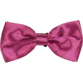 Suitable Satin Ribbon Aubergine Röd