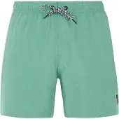 Protest Davey Simshorts