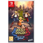 Games Double Dragon Gaiden: Rise Of The Dragons