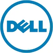 Dell 256GB M.2 NVMe SSD