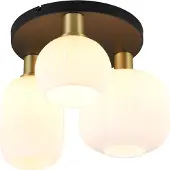 TRIO Lighting Taklampa Diva, dimbar, Svart, Vardagsrum / matsal, Metall, Taklampa