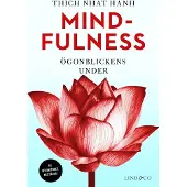 Mindfulness - Ögonblickens Under