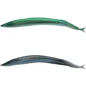 Berkley Alive Mjukt Bete 130 Mm