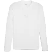 Puma Teamgoal Baselayer Tee Ls White-feather Gray, storlek Large