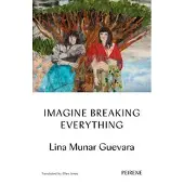Imagine Breaking Everything