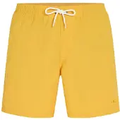 O'Neill Vert 16'' Boardshorts golden haze, XXL