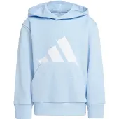 Adidas Essentials Big Logo Huvtröja