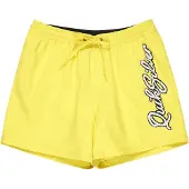 Quiksilver Everyday Malibu Volley 15 Boardshorts acacia Storlek XL