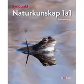 Synpunkt 1a1
