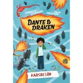 Kaosbesök