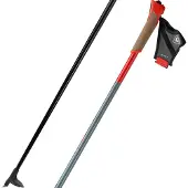 Rossignol Force 5 Stavar