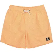Quiksilver Everyday Deluxe Volley 14´´ Simshorts