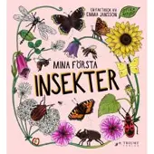 Mina första insekter