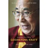 Godhetens kraft : Dalai Lamas vision för en bättre värld