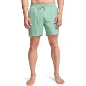 Billabong All Day Simshorts