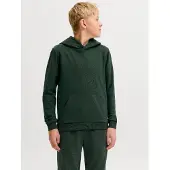 Jack & Jones Junior Sweatshirt 'JJEBradley' mörkgrön
