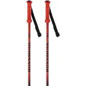 Rossignol Hero Juniorstavar