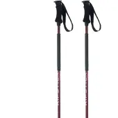 Elan Ripstick Rod W Stavar