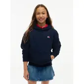 Tommy Hilfiger Flag Logo Terry Hoody