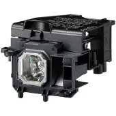 CoreParts - Projektorlampa (likvärdigt med: NEC NP43LP, NEC 100014467) - 210 Watt - 4000 timme/timmar - för NEC ME301X, ME331W, ME331X, ME361W, ME361X, ME401W