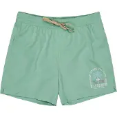 Billabong Foundation Simshorts