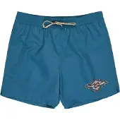 Billabong Foundation Simshorts