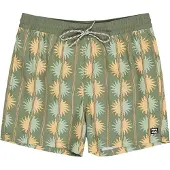 Billabong Vacay Simshorts