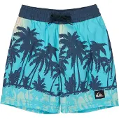 Quiksilver Everyday Printed Volley 13´´ Simshorts