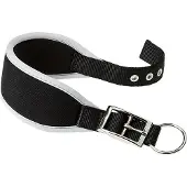 Ferplast Ergocomfort 25 Mm 46 Cm Hundhalsband