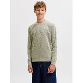 Jack & Jones Junior Sweatshirt 'JJEArchive' pastellgrön