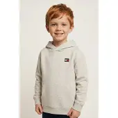 Tommy Hilfiger Flag Logo Terry Hoody