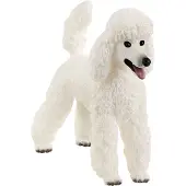 Schleich Djur - 6,4 cm - Pudel 13917 - - One Size - Leksaksdjur