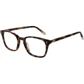 O'Neill Glasögonbåge ONB-4013 102 50