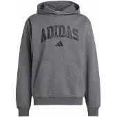 Adidas Seasonal Essentials Camo Huvtröja