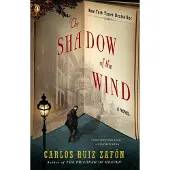 The Shadow of the Wind