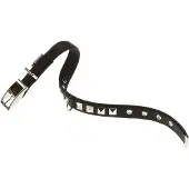 Ferplast Dual 25 Mm 45 Cm Hundhalsband
