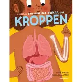 Enkla och roliga fakta om kroppen