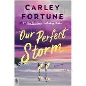 Our Perfect Storm