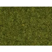 Noch 07117 Vildgräs Beige, Brun