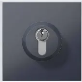 Siedle 210004992-00 Porttelefon-tillbehör Funktionsmodul Antracit