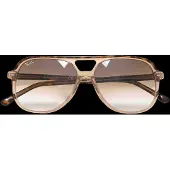 Ray-Ban Bill RB2198 Solglasögon -