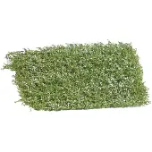 Busch 3595 Buske blommande 35 mm Vit