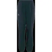 Adidas Terrex Multi Byxor
