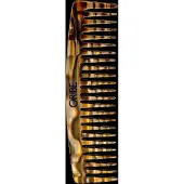 Oribe bred tandkam