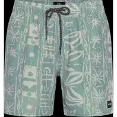 Rip Curl Sessions Volley Boardshorts aloe Storlek XL