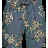 Rip Curl Sessions Simshorts