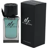Burberry Mr. Eau de Toilette 100 ml