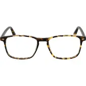 Taylor Morris Glasögonbåge SW16 C10 52