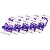 Bolsius doftvärmare True Scents 4H 60 st lavendel