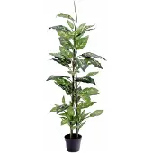 Europalms Dieffenbachia, konstgjord, 120 cm (82508306)